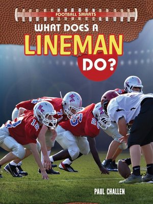 cover image of What Does a Lineman Do?
